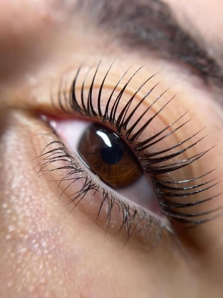 La Brush | Lashes Barcelona •manicure•pedicure•hair service•depilación•hair extensions - foto 2